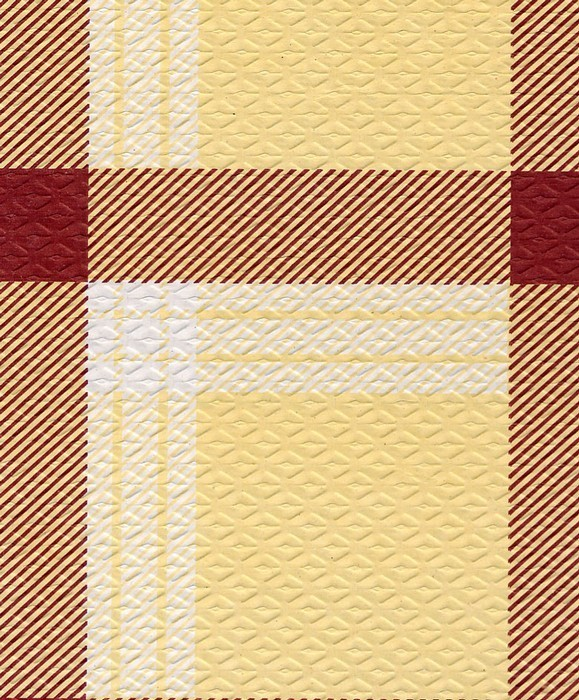 TOVAGLIA IN CARTA CM.100x100 ACCOPPIATA DAMA CHAMPAGNE PEZZI 50