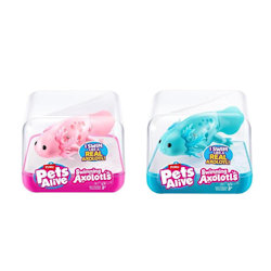 ZURU PETS ALIVE AXLOTLS NUOTA DAVVERO 9556UQ1