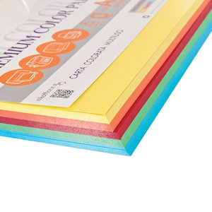 RISMA CARTA A4 160GR. 5 COLORI TINTE FORTI 125FF. NIKOFFICE