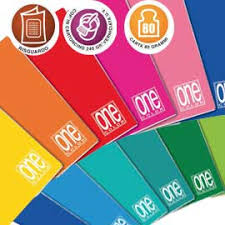 QUADERNONE 80gr. ff.20+1 FOGLIO PARTITA DOPPIA  2 COLONNE ONE COLOR PEZZI 10