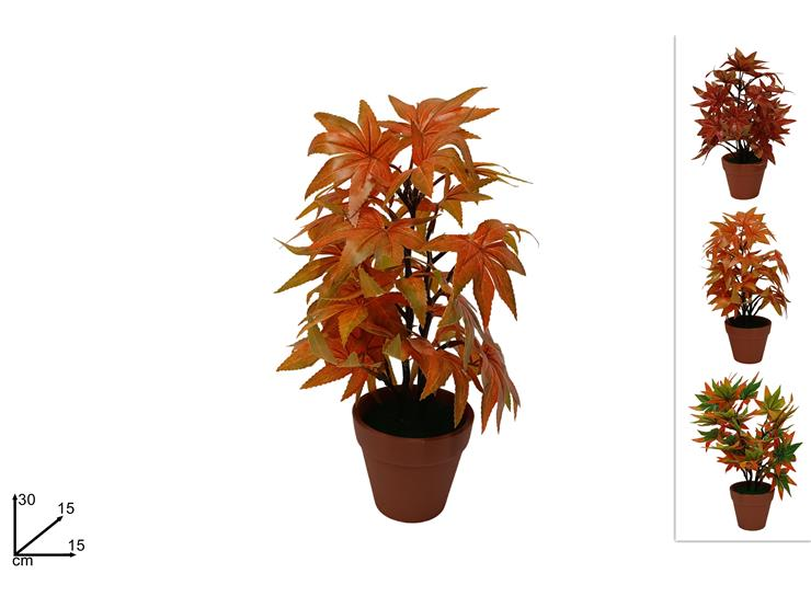 PIANTINA AUTUNNALE IN VASETTO PLASTICA CM.15xH.30 DUESSE