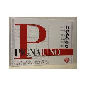 ALBUM DISEGNO PIGNAUNO 24x33 QUADRETTO 10MM PEZZI 20