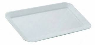 VASSOIO IN PLASTICA ESPOSITORE CM.20x27 IMBUSTATO SINGOLO REAL
