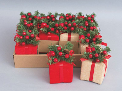 APPENDINO PACCO REGALO CM.14 SCATOLINA CON PIGNE E BACCHE ROSSE EURONATALE