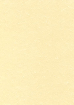 CARTA PERGAMENA FOGLIO A4 NEUTRO 160GR. PEZZI 12