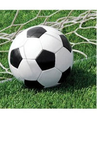 SPORT CALCIO GENERICO TOVAGLIOLI CM.33x33 CONF.16PZ.