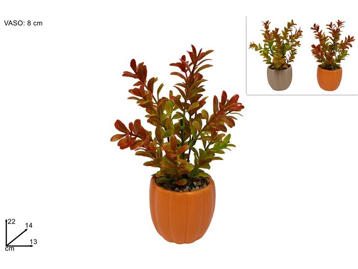 PIANTINA AUTUNNALE IN VASETTO PLASTICA COLOR CM.13xH.22 DUESSE