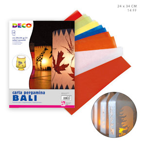 ALBUM CARTA PERGAMINA 24x34 FOGLI 14 ASSORTITI CWR